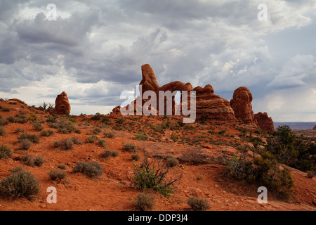 Szenen aus berühmten Arches-Nationalpark, Moab, Utah, USA Stockfoto