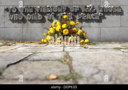 Ein Blumenstrauß ist eine Wand an der KZ-Gedenkstätte Bergen-Belsen in Bergen-Belsen, Deutschland, 5. September 2013 vorangestellt. Ab 8. September 2013, können Menschen das Konzentrationslager auf dem iPad mit einem Multimedia-Programm, das eine dreidimensionale Rekonstruktion des Lagers zeigt tour. Foto: SEBASTIAN KAHNERT Stockfoto