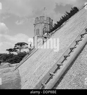 Thatchers bei der Arbeit auf dem Dach des St.-Peter Kirche, Theberton, Suffolk, 1956 Künstler: John Gay Stockfoto