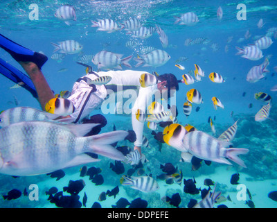 Schnorchel Taucher mit tropischen Fischen. Bora Bora. Französisch-Polynesien