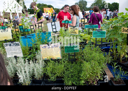 Küchen-und Gewürzkräuter stall, Lambeth Country Show 2013, Brockwell Park, London, UK Stockfoto