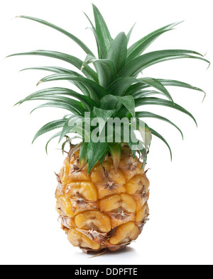 Ananas, isoliert auf weiss. Stockfoto