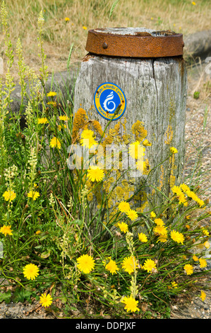 Millennium Coastal Path unterzeichnen, Llanelli, Carmartenshire, West Wales. Stockfoto