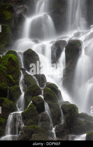 Ramona Falls Kaskaden über Moos bedeckt Felsbrocken, Oregon Stockfoto