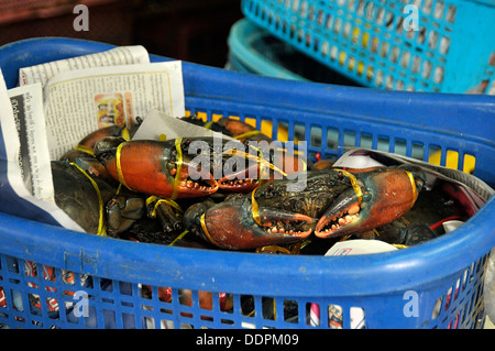 exotische asiatische Marktstände bangkok Stockfoto