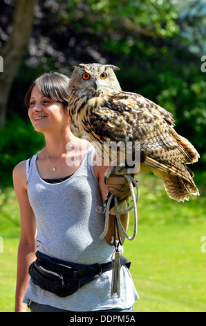 Junge Frauen mit eurasischen Uhu (Bubo Bubo) thront auf ihr Handgelenk bei Welt Eule Trust, Muncaster Castle, Cumbria Stockfoto
