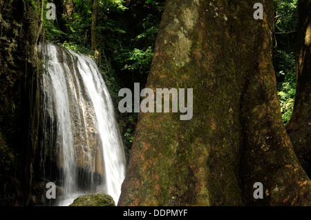 Thailands berühmte Landschaft, Wasser fällt in den Dschungel am Erawan, Kanchanaburi. Stockfoto