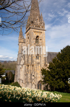 Llandaff Kathedrale im Frühling mit Narzissen im Vordergrund Cardiff South Wales UK Stockfoto