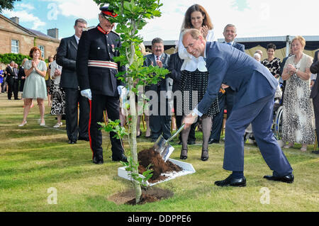 Hillsborough, Nordirland. 5. September 2013 - Prince Edward Spielzeug mit Fotografen an NI Staatssekretär's Garden Party in Hillsborough Palace, früher als Hillsborough Palace Schloss bekannt. Credit: Stephen Barnes/Alamy leben Nachrichten Stockfoto