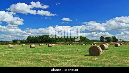 Bereich der frisch hergestellte Runde Heu Ballen, Kettering, Northamptonshire, England Stockfoto