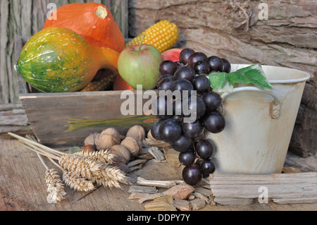 Herbst-Obst und Gemüse in einer Kampagne Einstellung Stockfoto