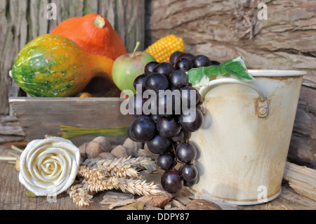 Herbst-Obst und Gemüse in ländlicher Umgebung Stockfoto