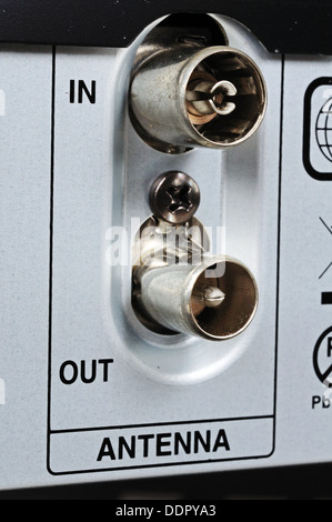 RF (Antenne), input und output Buchsen auf HDD/AV-Gerät, England, UK, Westeuropa. Stockfoto