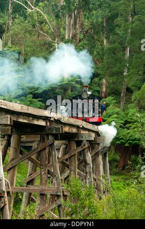 Puffing Billy auf Trestle Bridge, Belgrave, Melbourne, Victoria, Australien Stockfoto