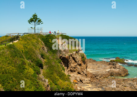 Ein Baum Punkt, Tuross Kopf, NSW, Australien Stockfoto