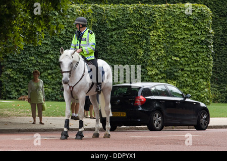 Polizei-Pferd und Reiter führt das Ändern der Wachablösung am Buckingham Palace London Stockfoto