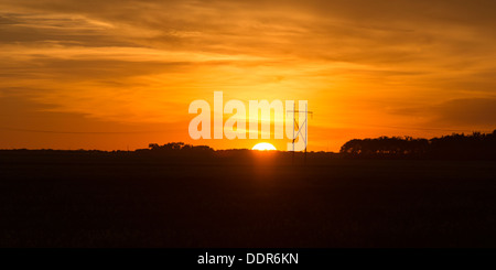 Sonnenuntergang über einem Prairie Feld, Manitoba, Kanada Stockfoto