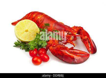 Roten Hummer mit Zitrone und Petersilie auf weißem Hintergrund Stockfoto