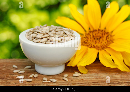 Sonnenblumen-Samen. Stockfoto