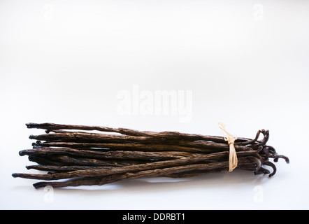 Vanilleschoten mit Stroh isoliert auf weißem Bogen. Stockfoto