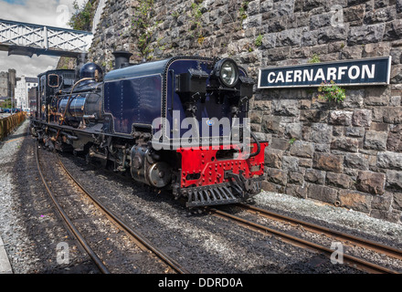 NG/G16 Nr. 87 Beyer-Garratt-Lokomotive am Bahnhof Caernarfon Wales auf der Welsh Highland Railway Stockfoto