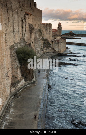 Eglise Notre Dame des Anges und Chateau Royal, Collioure, Pyrénées-Orientales, Languedoc-Roussillon, Frankreich Stockfoto