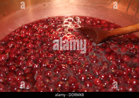Rote Stachelbeeren in Kupfer erhalten schwenken bereit für die Herstellung von Marmelade Stockfoto