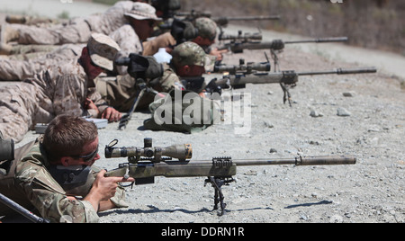 Britischen Royal Army Commandos Zielen mit M40A5 Scharfschützengewehre neben Marines mit 1. Air Naval Gunfire Liaison Company bei gemeinsamen training Übung birmanischen Chase an Bord Camp Pendleton, Kalifornien, 3. September 2013. Die Übung wurde in entwickelt, um Stockfoto