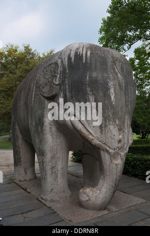 Ming-Gräber, Nanjing, China. Statue eines Elefanten Elefant unterwegs. Stockfoto