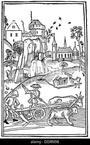 Landwirtschaft, landwirtschaftliche Arbeit, Pflügen, Bär und Ochse im Joch, Episode aus dem Leben des heiligen Lucius von Chur, Holzschnitt, 'Swabian Chronicle' von Thomas Lirer, gedruckt von Konrad Dinckmut, Ulm, 1485, Additional-Rights-Clearences-not available Stockfoto