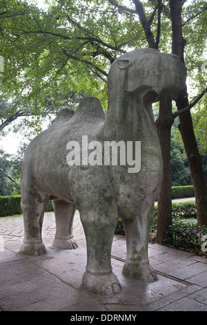 Ming-Gräber, Nanjing, China. Statue von einem Kamel Elefant unterwegs. Stockfoto