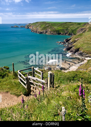 Die Pembrokeshire Coast Path in der Nähe von Newgale nach Ramsey Island, Pembrokeshire Coast National Park Stockfoto