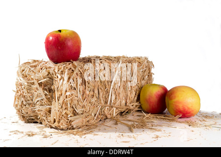 Einen Apfel auf einen Ballen Heu, mit zwei Äpfel daneben sitzen Stockfoto