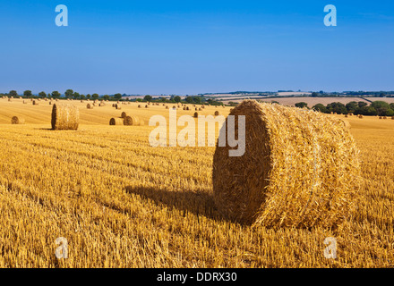 Weizen Feld geerntet und Stroh ballen Lincolnshire Wolds England UK GB EU Europa Stockfoto