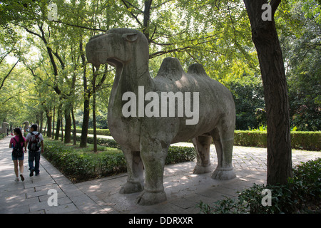 Ming-Gräber, Nanjing, China. Statue von einem Kamel Elefant unterwegs. Stockfoto