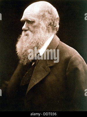 Charles Darwin, britischer Naturforscher, c1870s. Künstler: Julia Margaret Cameron Stockfoto