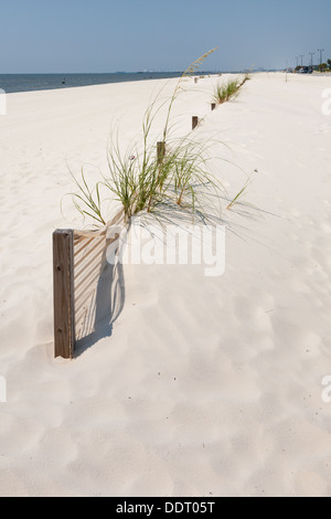 Erosion Schutz Dünen auf Mann gemacht Sandstrand am Golf von Mexiko in Gulfport und Biloxi, Mississippi Stockfoto