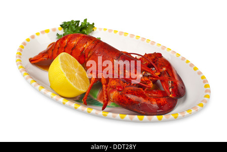 Roten Hummer mit Zitrone und Petersilie auf weißem Hintergrund Stockfoto