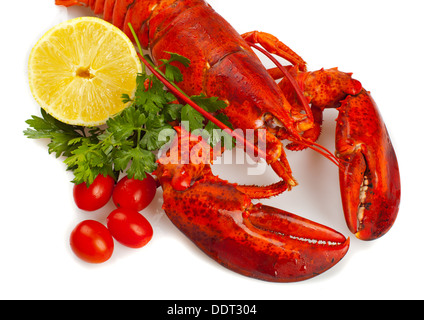 Roten Hummer mit Zitrone und Petersilie auf weißem Hintergrund Stockfoto