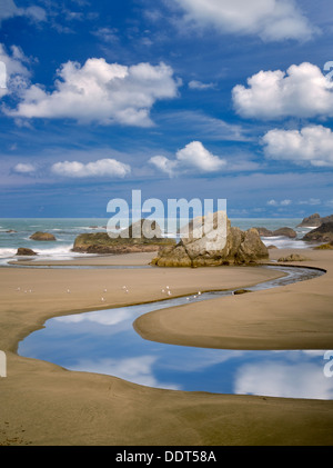 Harris Creek und Ozean mit Möwen. Harris Beach State Park, Oregon Stockfoto