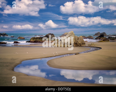 Harris Creek und Ozean mit Möwen. Harris Beach State Park, Oregon Stockfoto