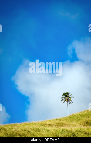 Ein einsamer Kokospalme auf der höchsten grünen Hügel von Aitutaki-Insel im Wind vor blauem Himmel, Cook-Inseln Stockfoto