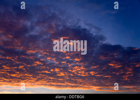 Roter Himmel mit Altocumulus bei Sonnenuntergang. Stockfoto