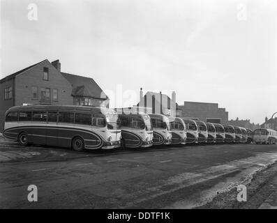 Flotte von AEC-Regal Mk4s gehörenden Philipson Coaches, Goldthorpe, South Yorkshire, 1963. Künstler: Michael Walters Stockfoto