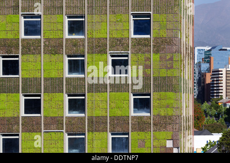 Grüne Fassade auf das neue Gebäude des Intercontinental Hotel, Santiago, Chile Stockfoto