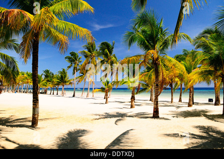 Am Nachmittag eine Strandszene in Bohol, Philippinen Stockfoto