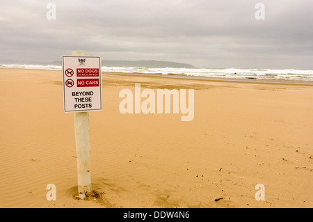 Melden Sie sich an einem Strand, Warnung, dass keine Hunde oder Autos über diesen Punkt hinaus zulässig sind. Stockfoto