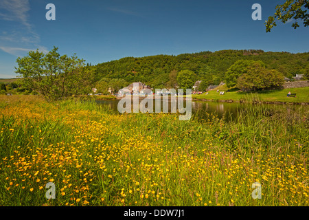 Callander aus den Wiesen Stockfoto