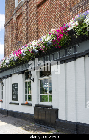 Der Hase & Billet Pub in Blackheath, London. Stockfoto