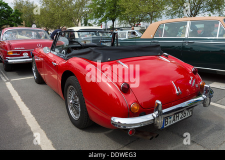 Britische Sportwagen Austin-Healey 3000 MKIII, Rückansicht Stockfoto